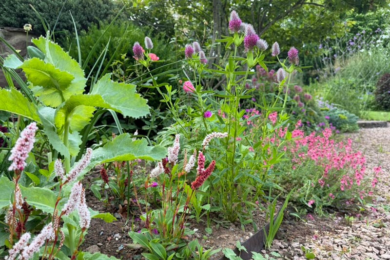 kath-harding-border-design-10