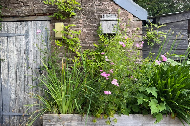 kath-harding-border-design-12