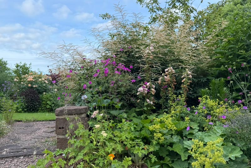 kath-harding-border-design-4