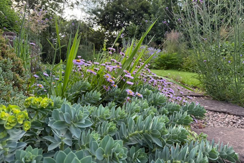 kath-harding-border-design-8