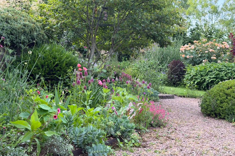 kath-harding-border-design-9